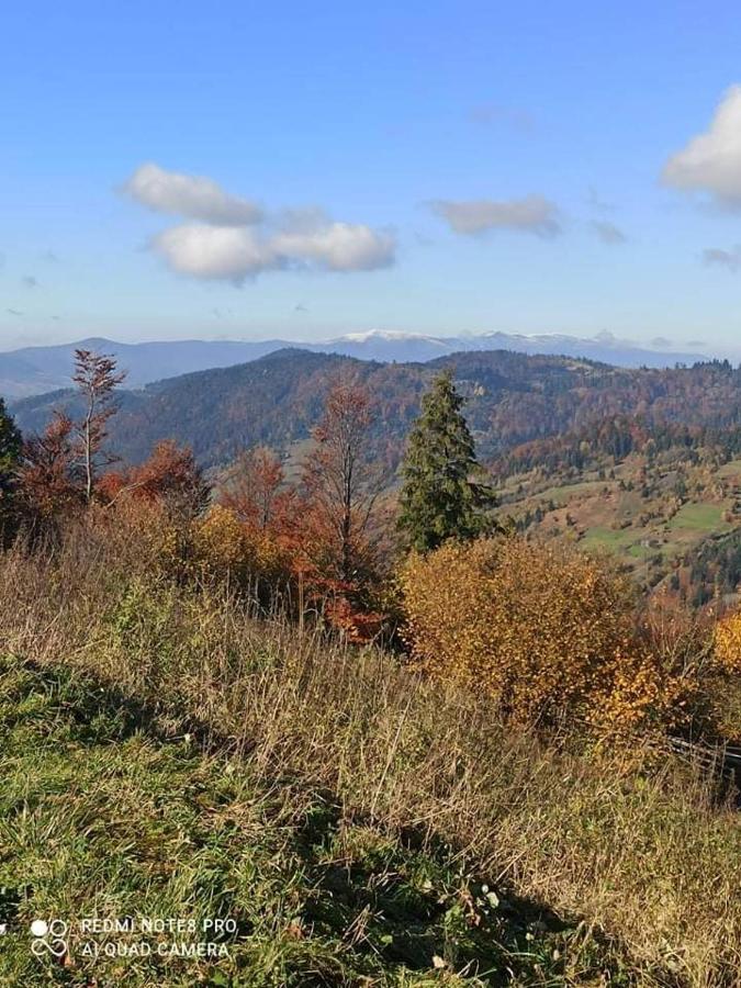 Котедж З Неймовірними Краєвидами, Карпатський Чан Dream, Чан Джакузі สลาฟสเก ภายนอก รูปภาพ